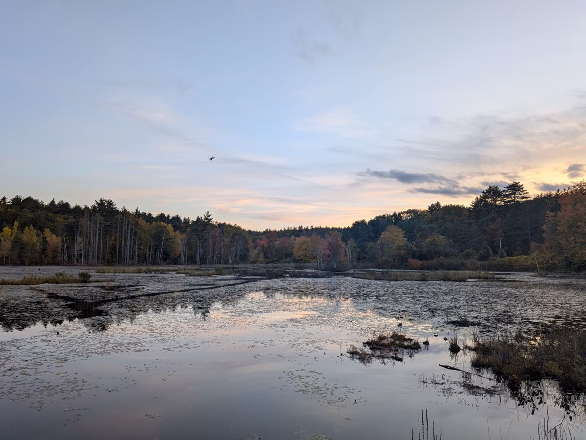 Still New Hampshire pond at dusk ringed by forest (Wooding Pond, Goffstown, not in the park)