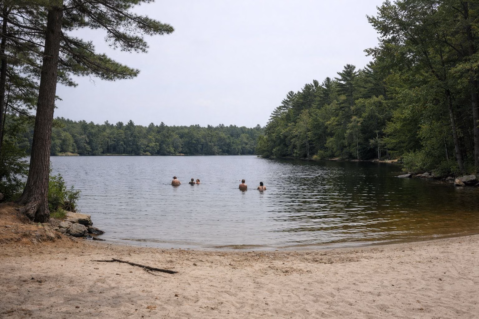 A small sandy beach on a forest-ringed swimming pond