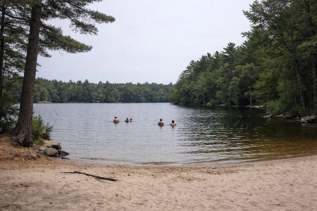 A small sandy beach on a forest-ringed swimming pond