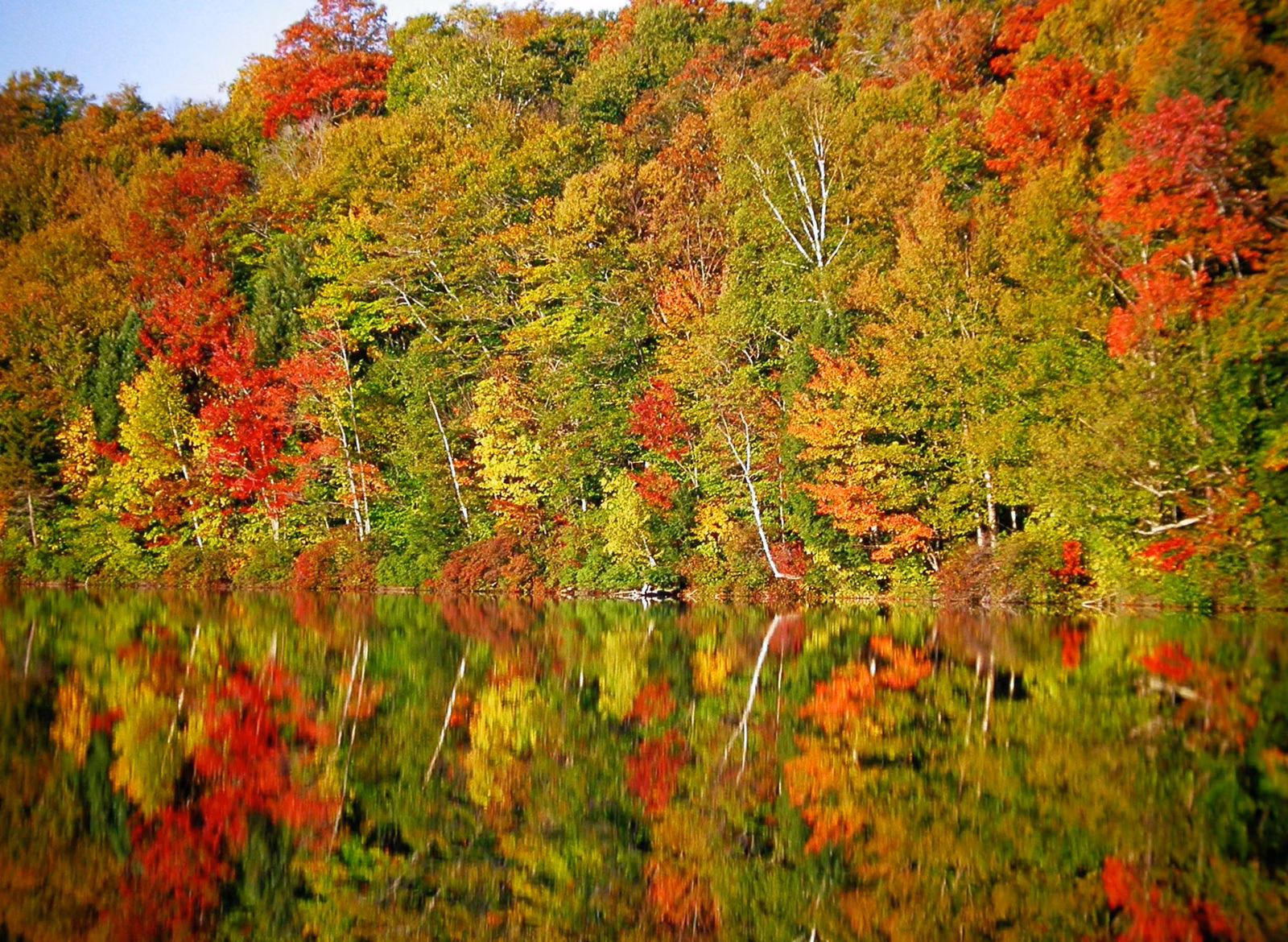 Fall foliage reflected in a calm New Hampshire pond (Campton Pond, not in the park)