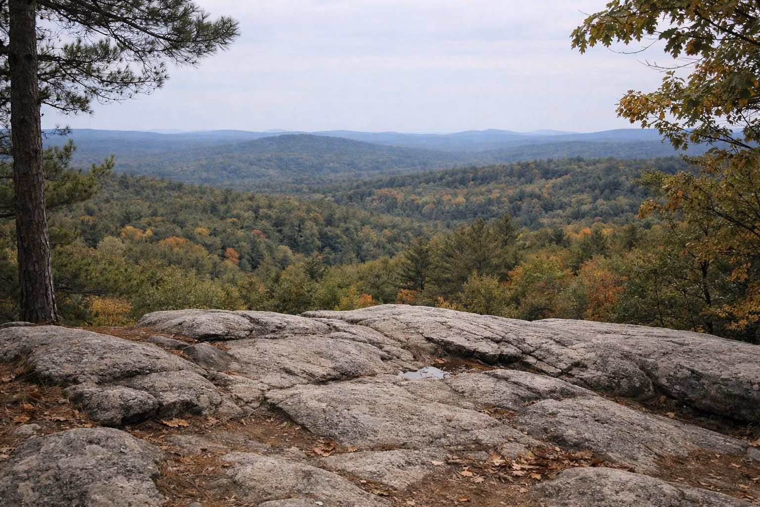 View from an open granite outcrop over rolling forested hills