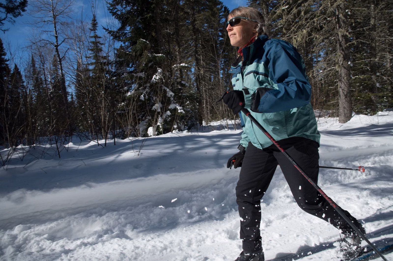 Cross-country skier on a snowy forest trail (photographed out of state)
