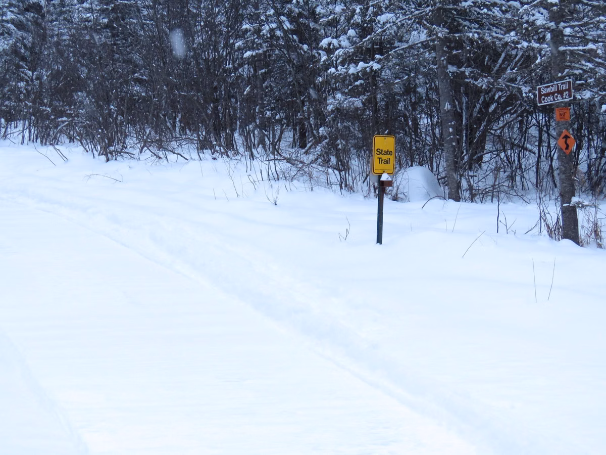 A groomed snowmobile trail through snowy woods (Superior National Forest, not Bear Brook)